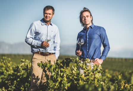 Zwei Männer in Hemden mit Weingläsern in einem Weinberg bei klarem Himmel.