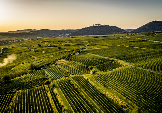 Stift Goettweig Silberbichl 2019