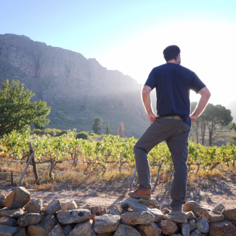 Swartberg – Rudiger in the Vineyards