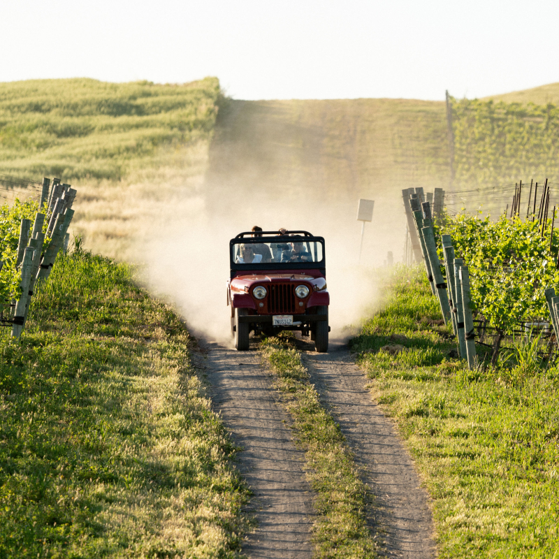 TALLEY VINEYARDS EXPERIENCE 01