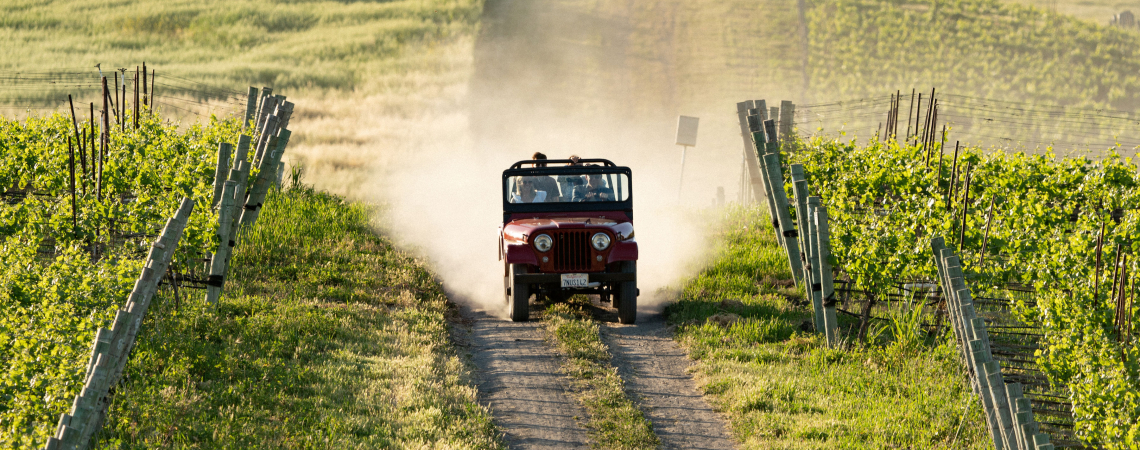 Roter Jeep fährt auf staubigem Weg zwischen grünen Weinreben durch hügelige Landschaft.