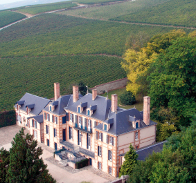 Luftaufnahme eines eleganten Herrenhauses inmitten grüner Weinberge und Bäume.