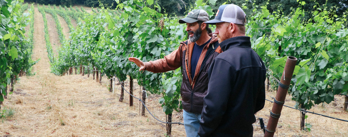 Zwei Männer stehen in einem grünen Weinberg und unterhalten sich.