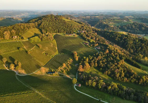 Tement Landschaft