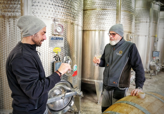 Tenuta dell Ugolino (4)