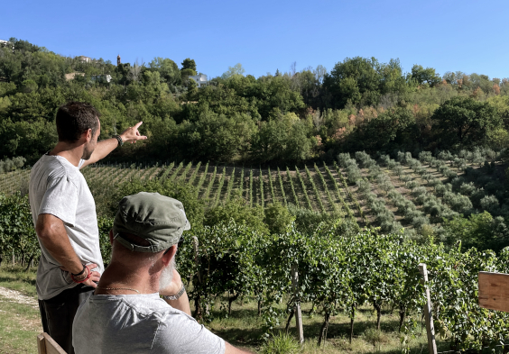 Tenuta dell Ugolino (7)