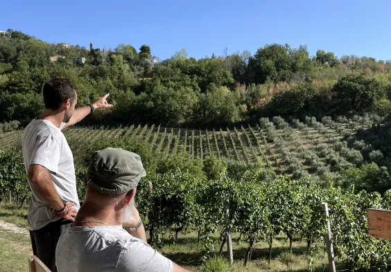 Tenuta dell Ugolino (7)