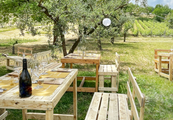 Tenuta dell Ugolino (8)