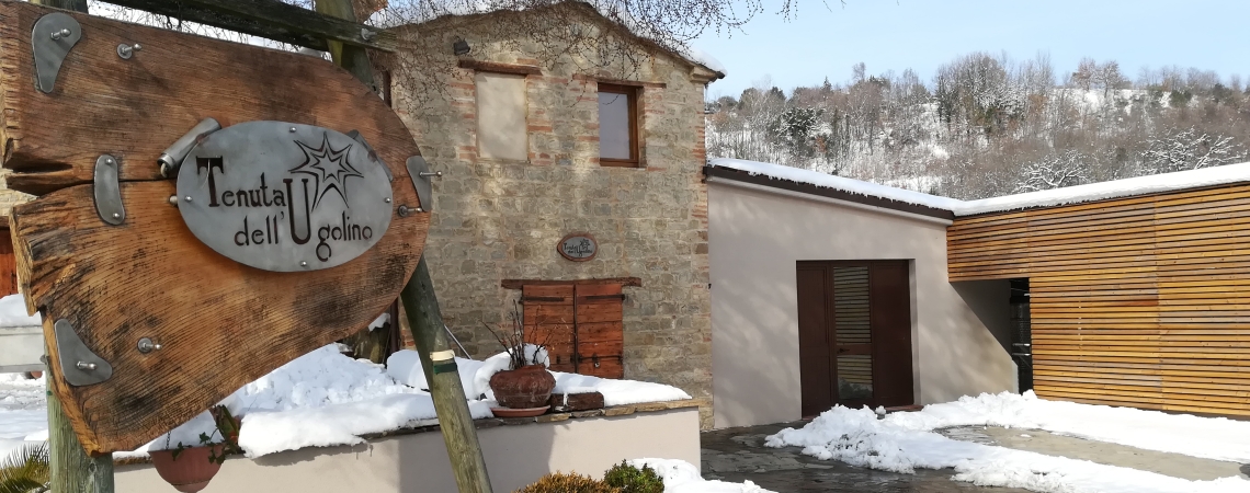 Rustikales Steingebäude mit Holzfass und schneebedecktem Hof bei winterlicher Landschaft.