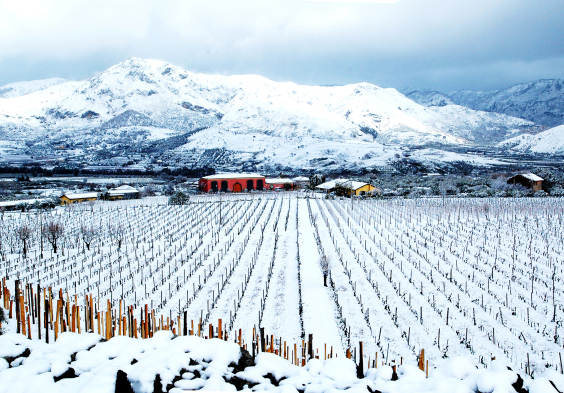 Tenuta delle Terre Nere Winter