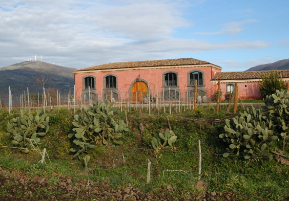 Tenuta delle Terre Nere