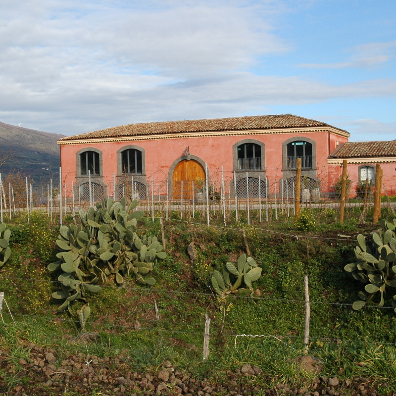 Tenuta delle Terre Nere
