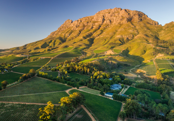 Thelema on slopes of Simonsberg Mountain