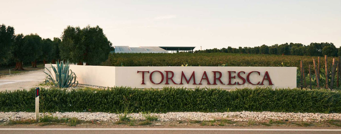 Eingangsschild eines Weinguts mit Pflanzen und Bäumen im Hintergrund.