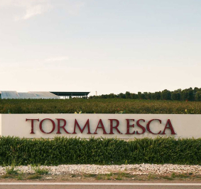 Eingangsschild eines Weinguts mit Pflanzen und Bäumen im Hintergrund.