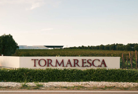 Eingangsschild eines Weinguts mit Pflanzen und Bäumen im Hintergrund.