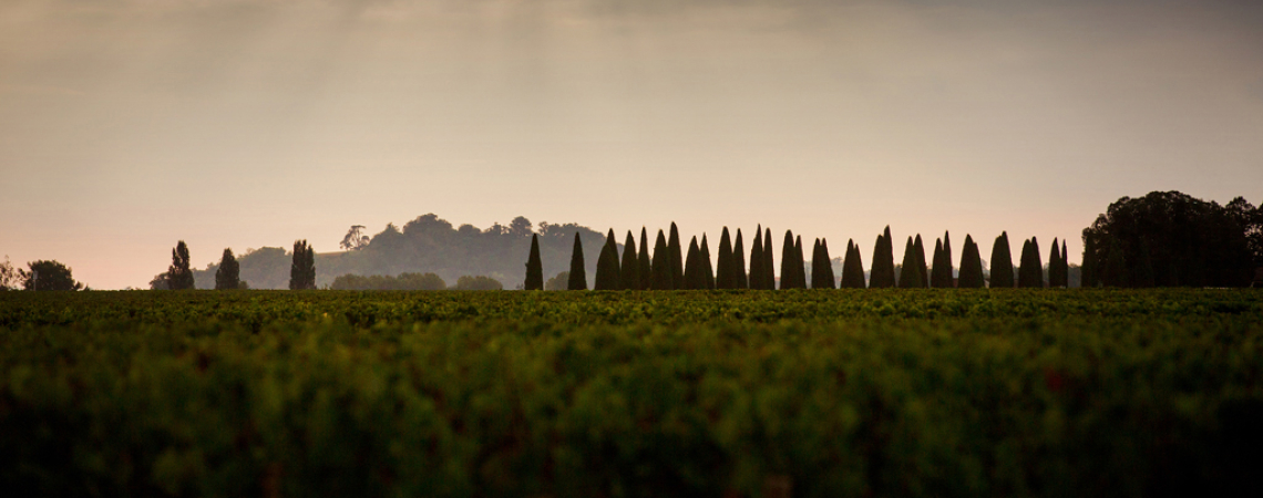 Sonnenstrahlen durch Wolken über Zypressenreihe in italienischer Landschaft.