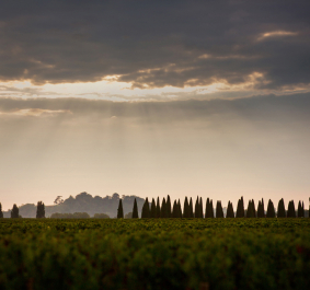 Sonnenstrahlen durch Wolken über Zypressenreihe in italienischer Landschaft.