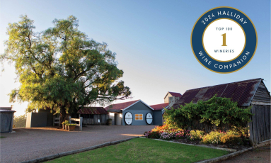 Großer Baum neben rustikalen Weinberggebäuden bei Sonnenuntergang.