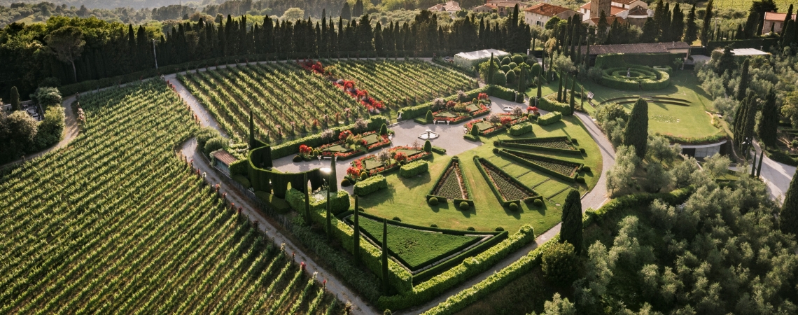 Luftaufnahme von gepflegtem Garten und Weinberg in hügeliger Landschaft bei Sonnenuntergang.