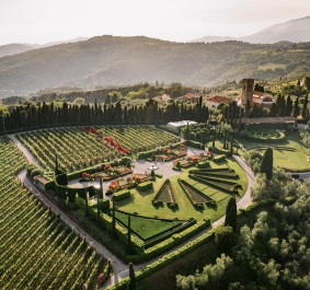 Luftaufnahme von gepflegtem Garten und Weinberg in hügeliger Landschaft bei Sonnenuntergang.