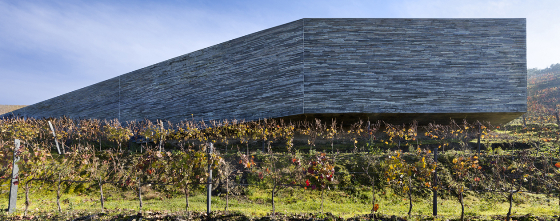 Modernes, schwebendes Gebäude aus grauem Stein in einer Landschaft mit Rebstöcken.