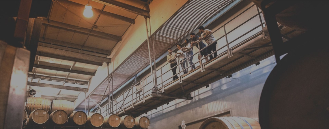 Weinkeller mit großen Holzfässern und Personen auf einem erhöhten Laufsteg.