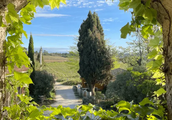 Villa Noria 