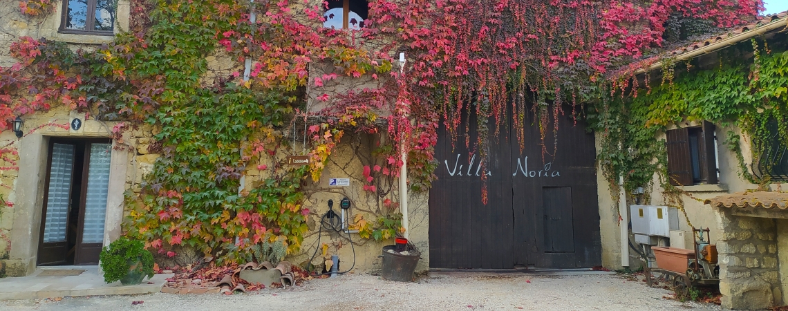 Historisches Steingebäude mit leuchtend buntem Efeu bewachsen.