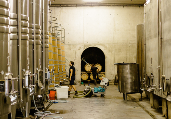 WEB CLOS DU CAILLOU 01