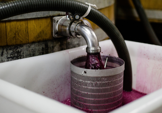 WEB CLOS DU CAILLOU 03