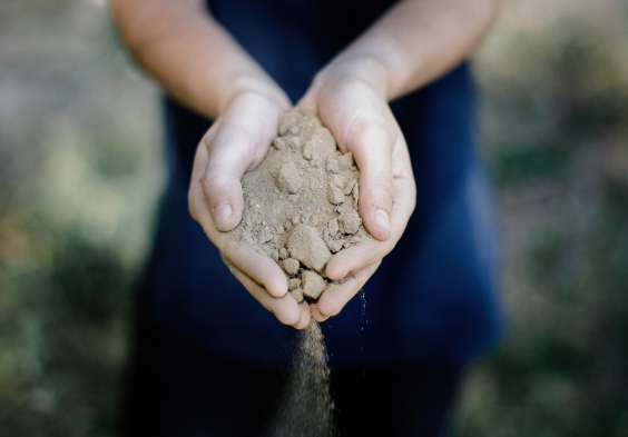 WEB CLOS DU CAILLOU 100