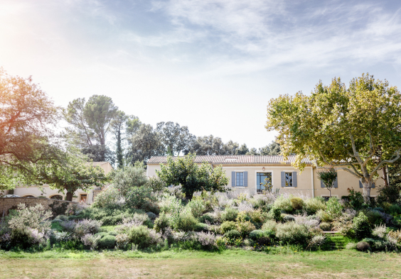 WEB CLOS DU CAILLOU 111