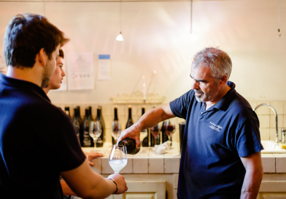 WEB CLOS DU CAILLOU 113