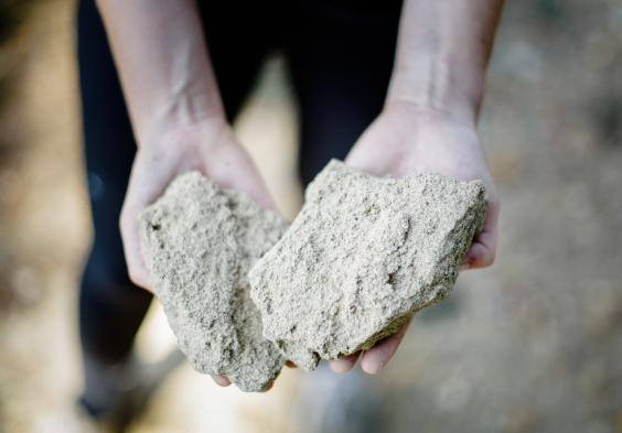 WEB CLOS DU CAILLOU 99