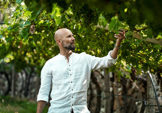 Waldgries Weingaerten