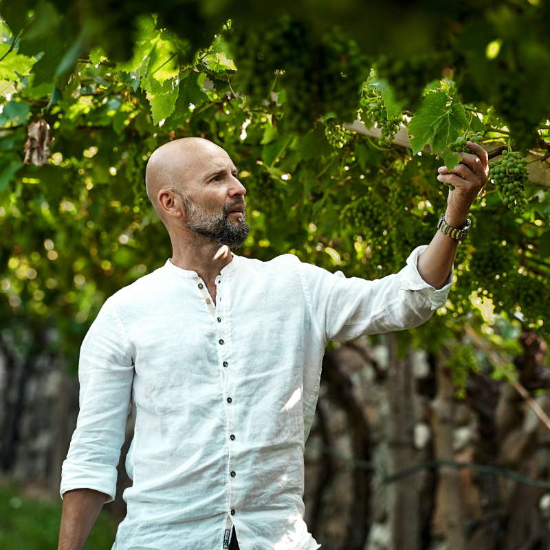 Waldgries Weingaerten