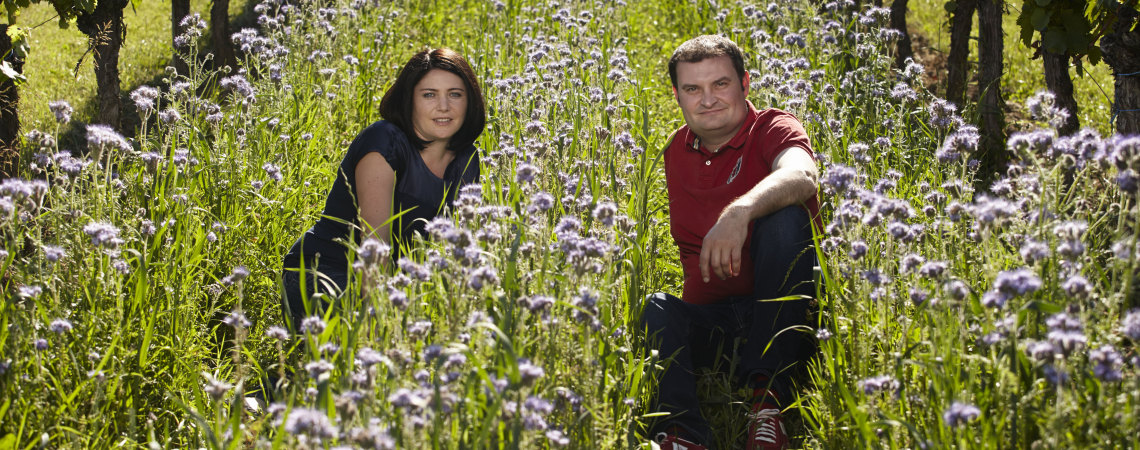 Zwei Personen sitzen in blühendem Blumenfeld zwischen Weinreben.