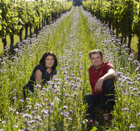 Zwei Personen sitzen in blühendem Blumenfeld zwischen Weinreben.