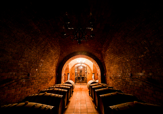 WeingutHagn 7© Weingut Hagn Michael Reidinger