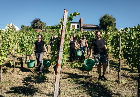 Weninger Winery   Franz R and Petra on Saybritz 03   c Nicole Heiling