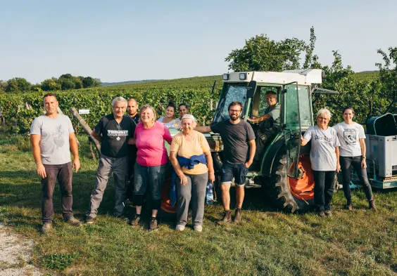 Weninger Winery   Harvest on Hochaecker 04   c Nicole Heiling