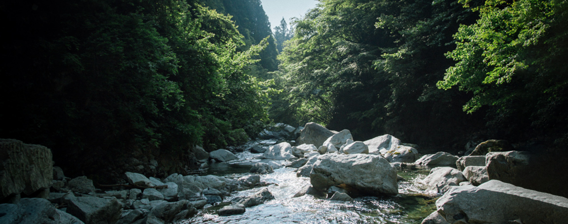 Bach fließt durch bewaldetes Tal mit großen Felsbrocken und üppigem Grün.
