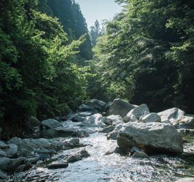 Bach fließt durch bewaldetes Tal mit großen Felsbrocken und üppigem Grün.