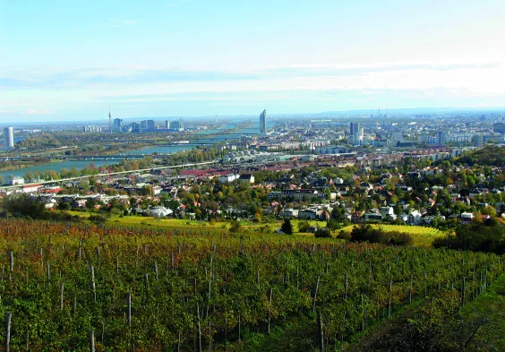 Zahel Blick Wien Nussberg