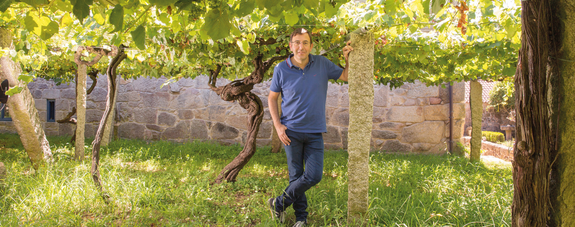 Mann in einem Weinberg, von dichtem Laub umgeben, neben einer Steinmauer.