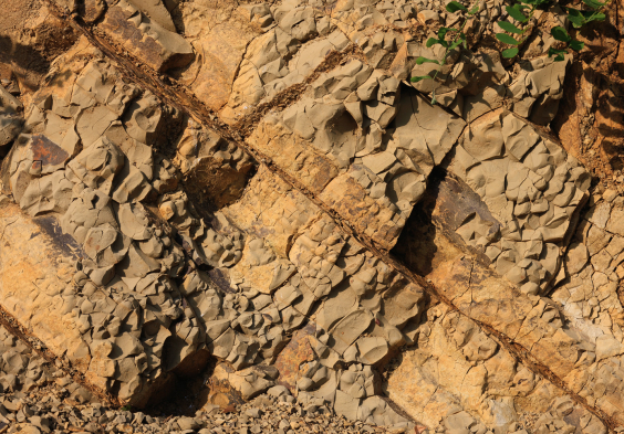 Zuccolo Colli Orientali 4