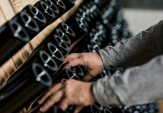 Zuschmann Schoefmann (10)