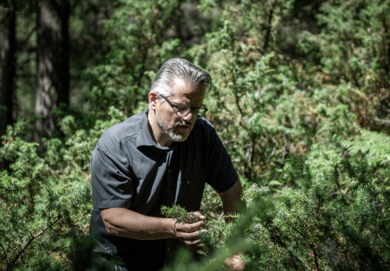 biberundengel arno im wald