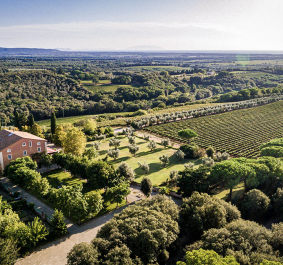 Luftaufnahme einer Villa mit umliegenden Weinbergen und weitläufiger, grüner Landschaft.